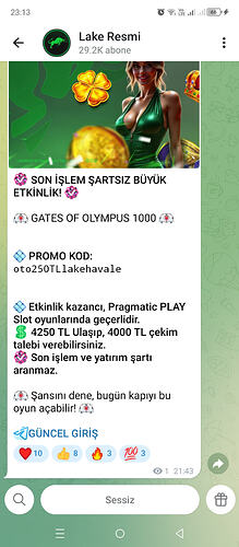 Screenshot_20260315-231335