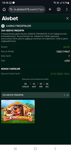 Screenshot_20250727_184822_Chrome